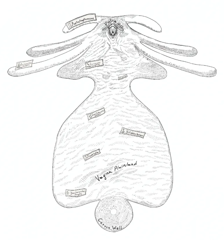 Biopolitics and resistance of life