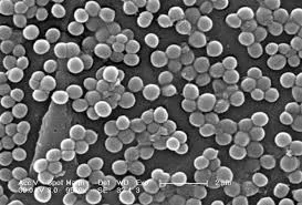 Biopolitics and resistance of life