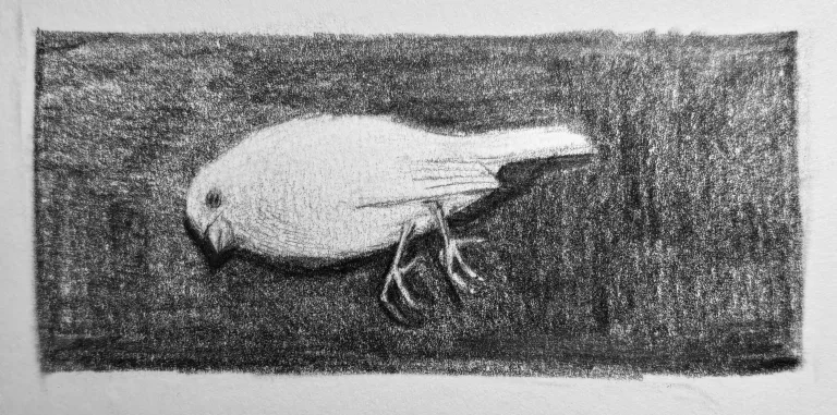 Cross-species empathy and guilt