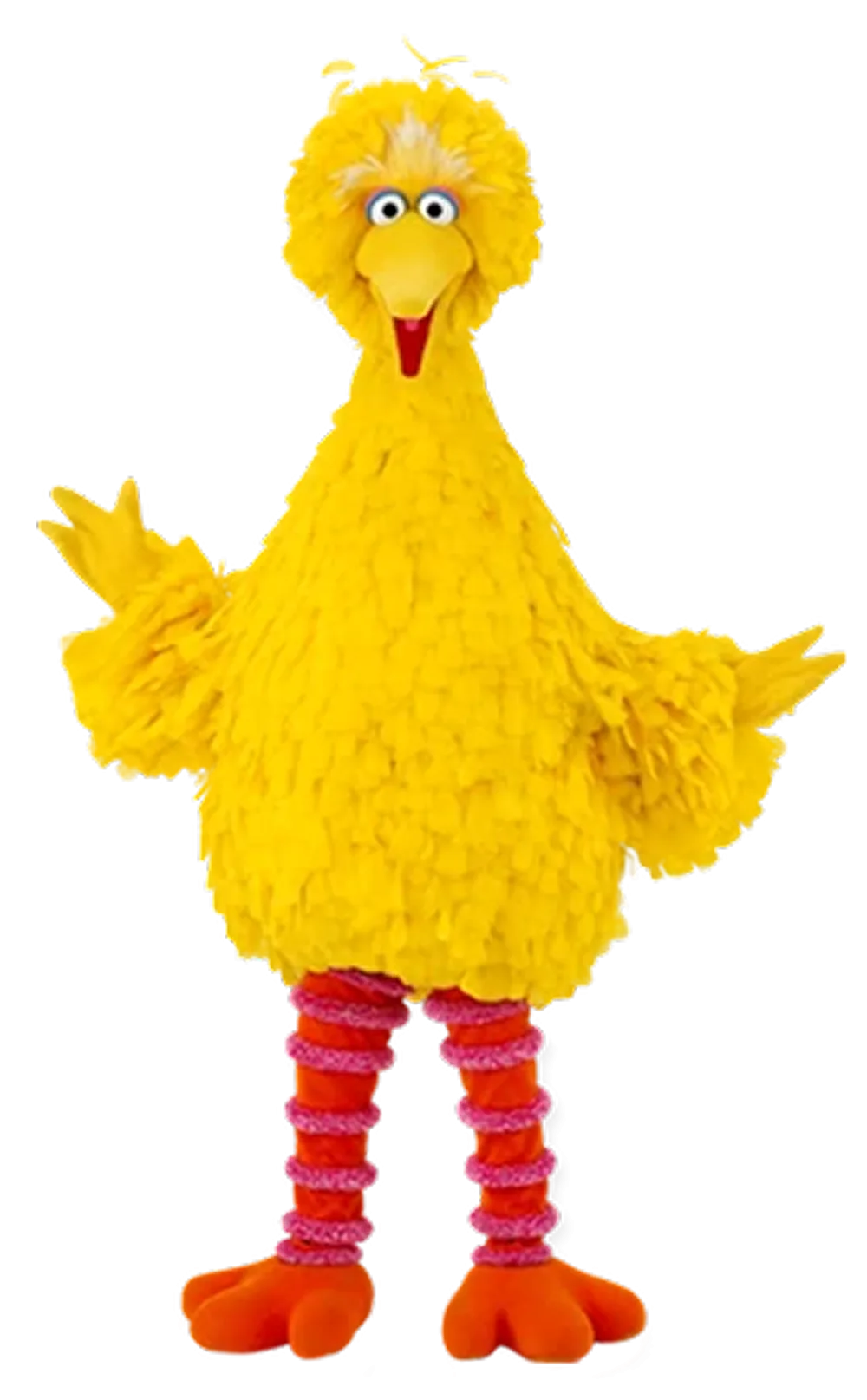 bigbirdnewversion-1.png