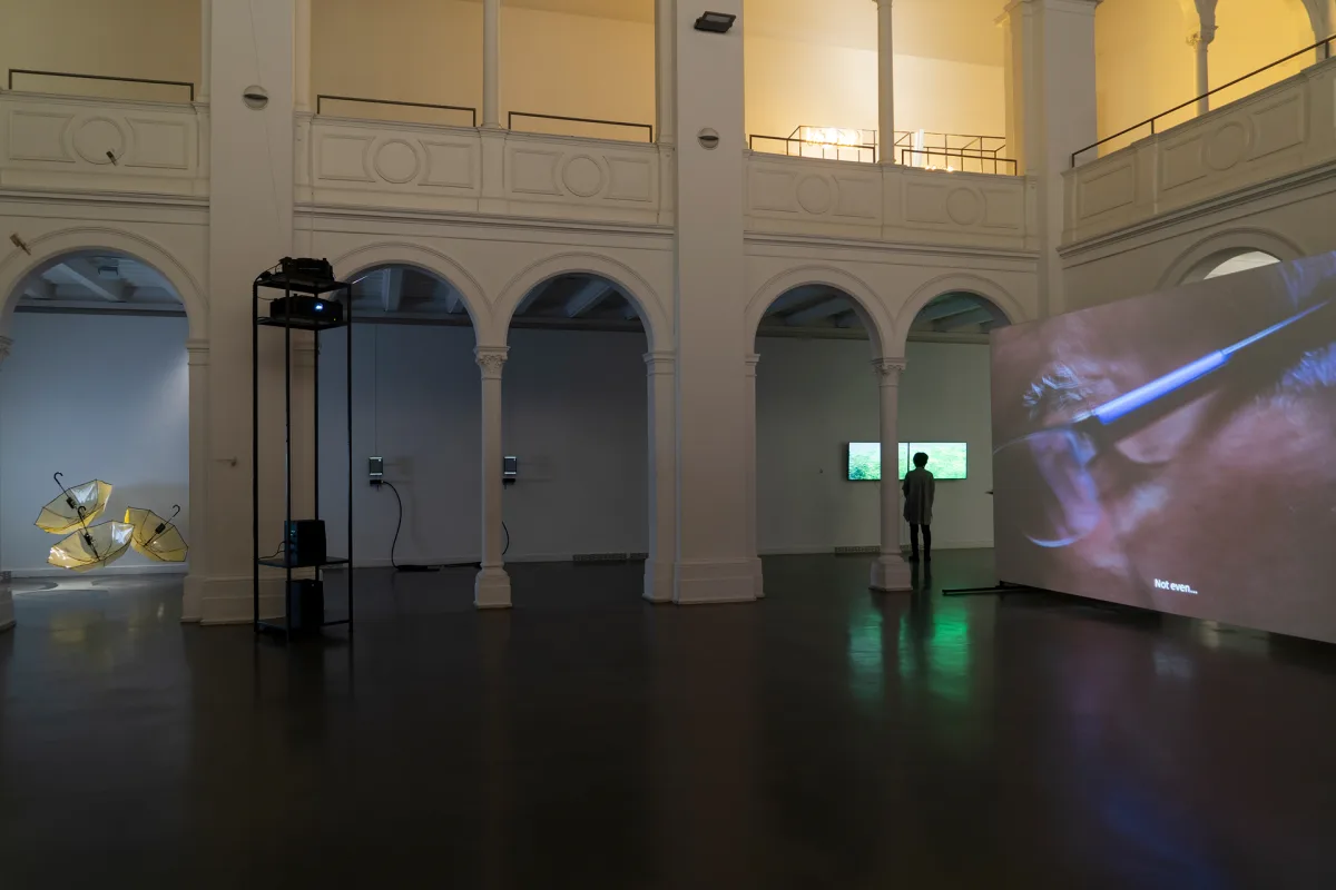 dsc03113-1.jpg